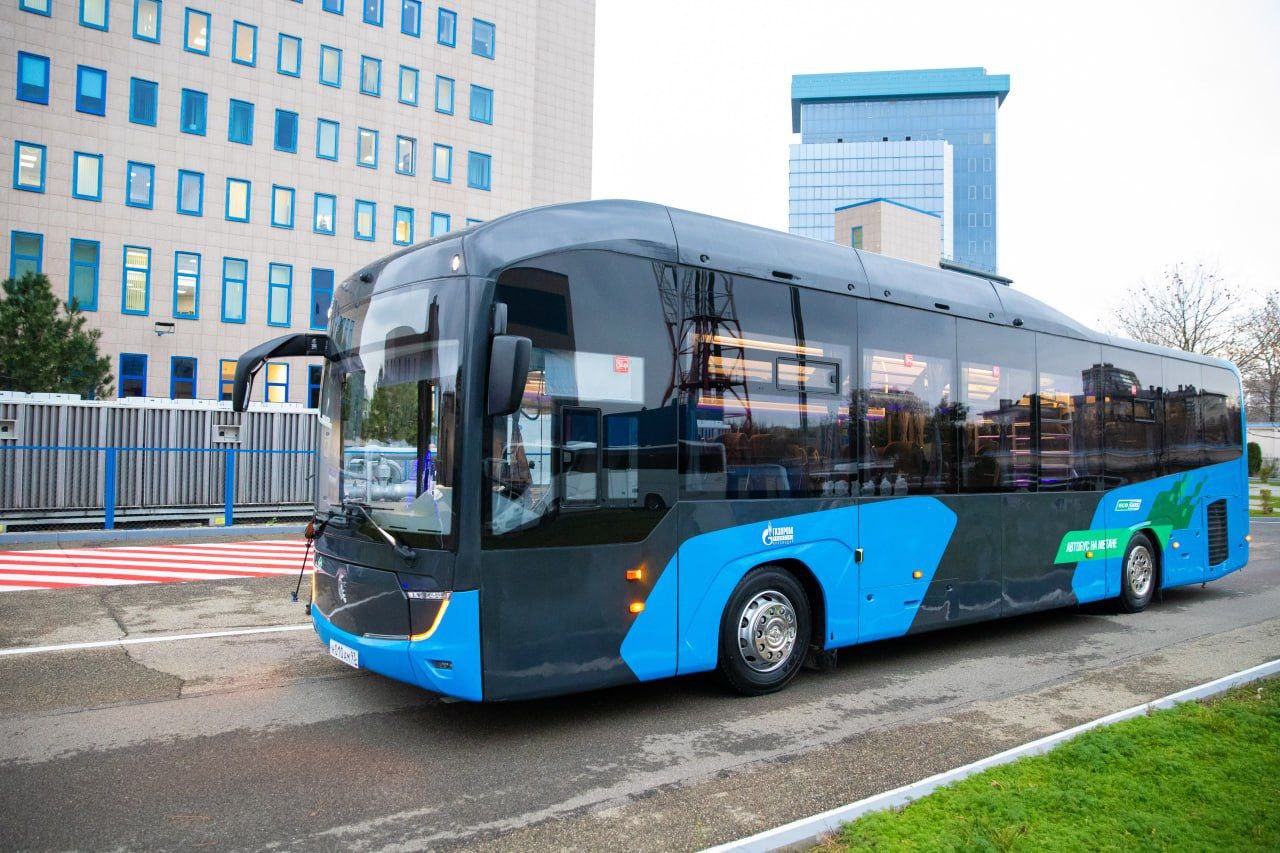 Социальная поддержка